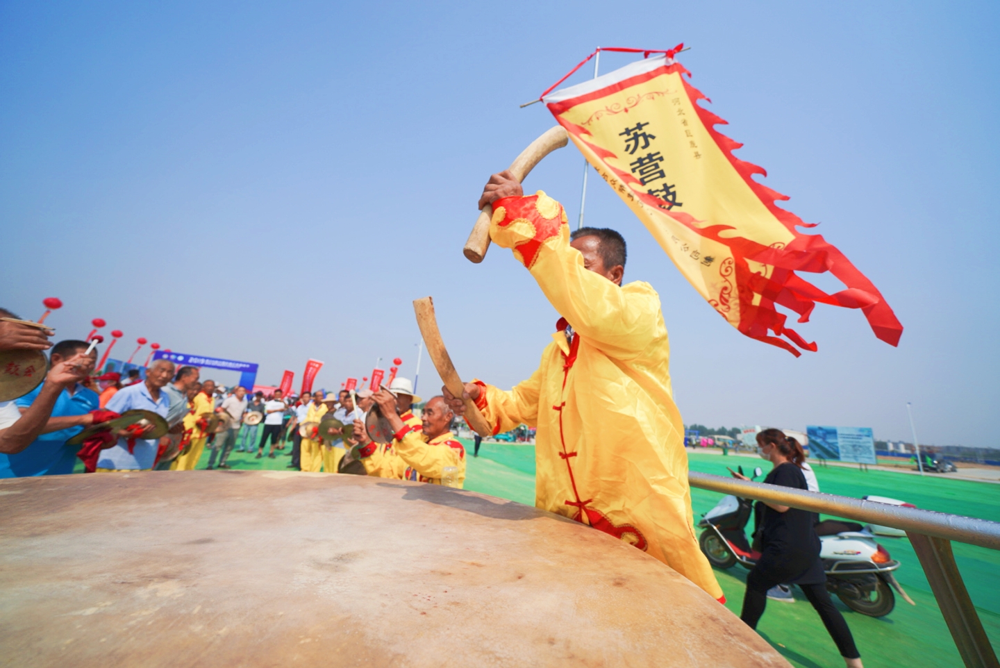 “杏运”来袭：这个县城一件事儿坚持了28年