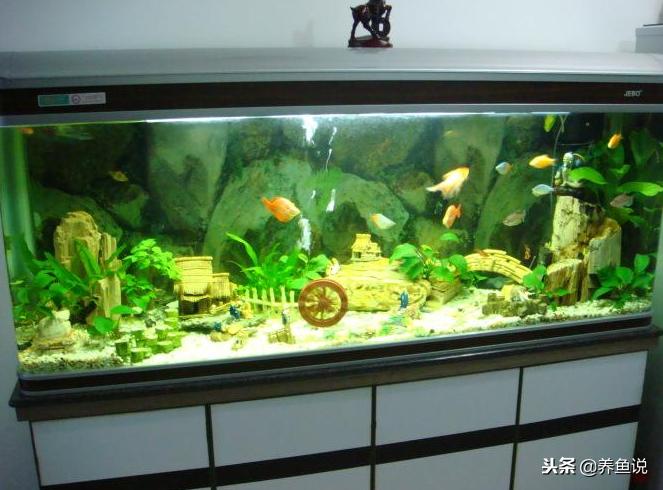 鱼缸多久清洗一次褐藻,鱼缸多久清洗一次滤材合适