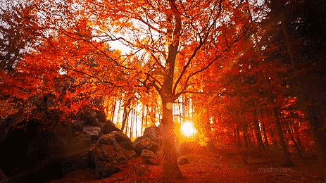 上海厉害了,厉害了上海