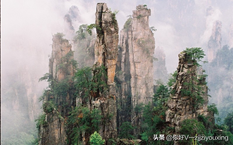 滨州到张家界自驾游线路攻略,上海到张家界自驾游详细攻略