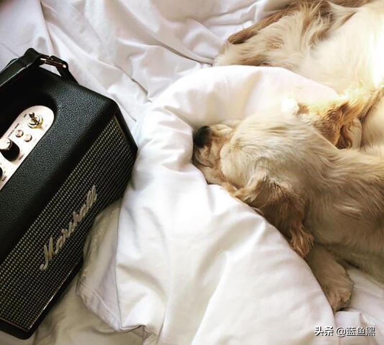 马歇尔音箱送女友,闺蜜送什么蓝牙音箱比较好