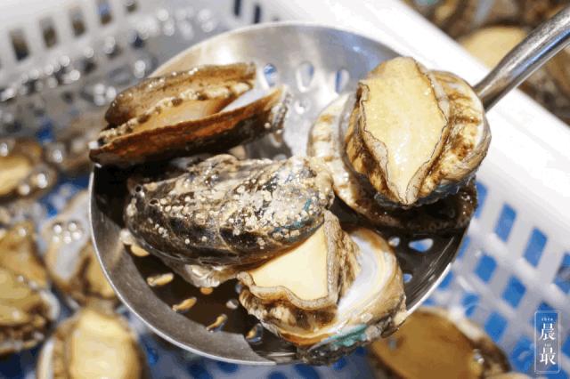 打卡魔都最火网红点,今日魔都网红打卡地点