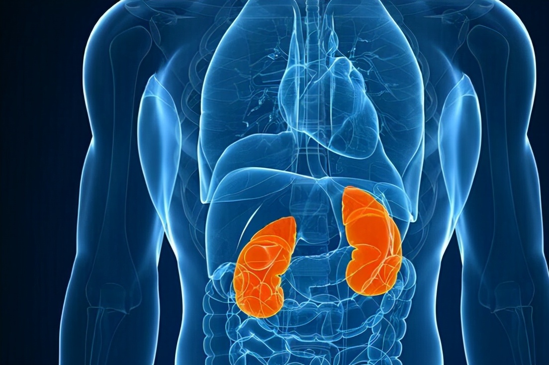 啤酒引发痛风的原因,为什么外国的啤酒不会导致痛风