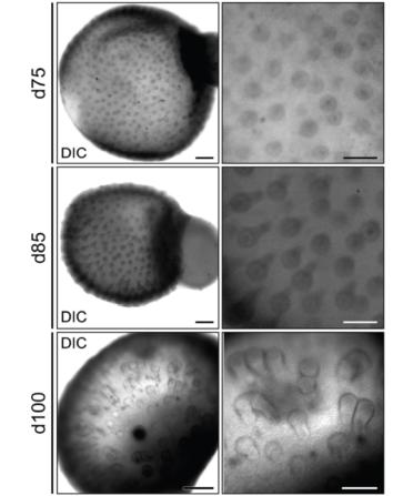 脱发人群超25亿解救头发从它开始,脱发最新研究成果