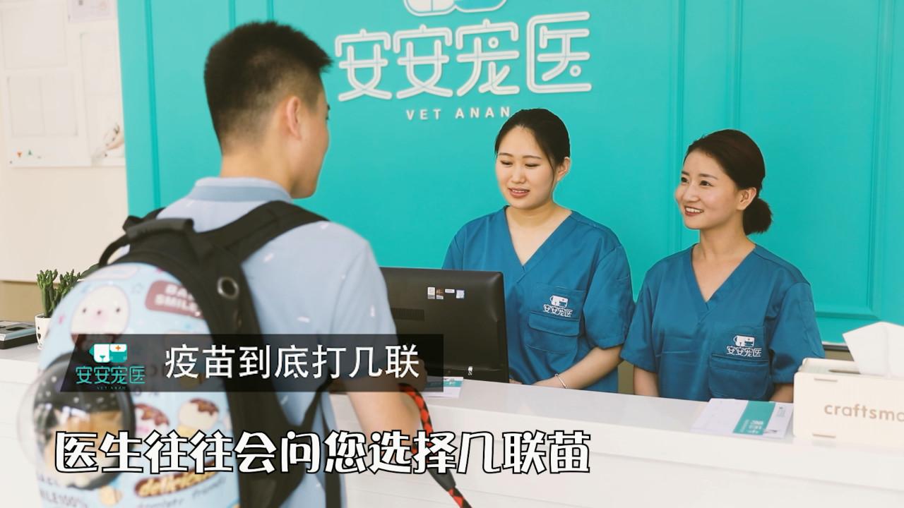 宠物疫苗怎么打,宠物狗每年都需要打狂犬疫苗吗