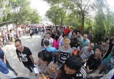 葫芦岛龙港学区,葫芦岛龙港区中学学区划分