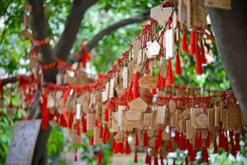 广州的岭南古村寨,岭南小洲村在哪里