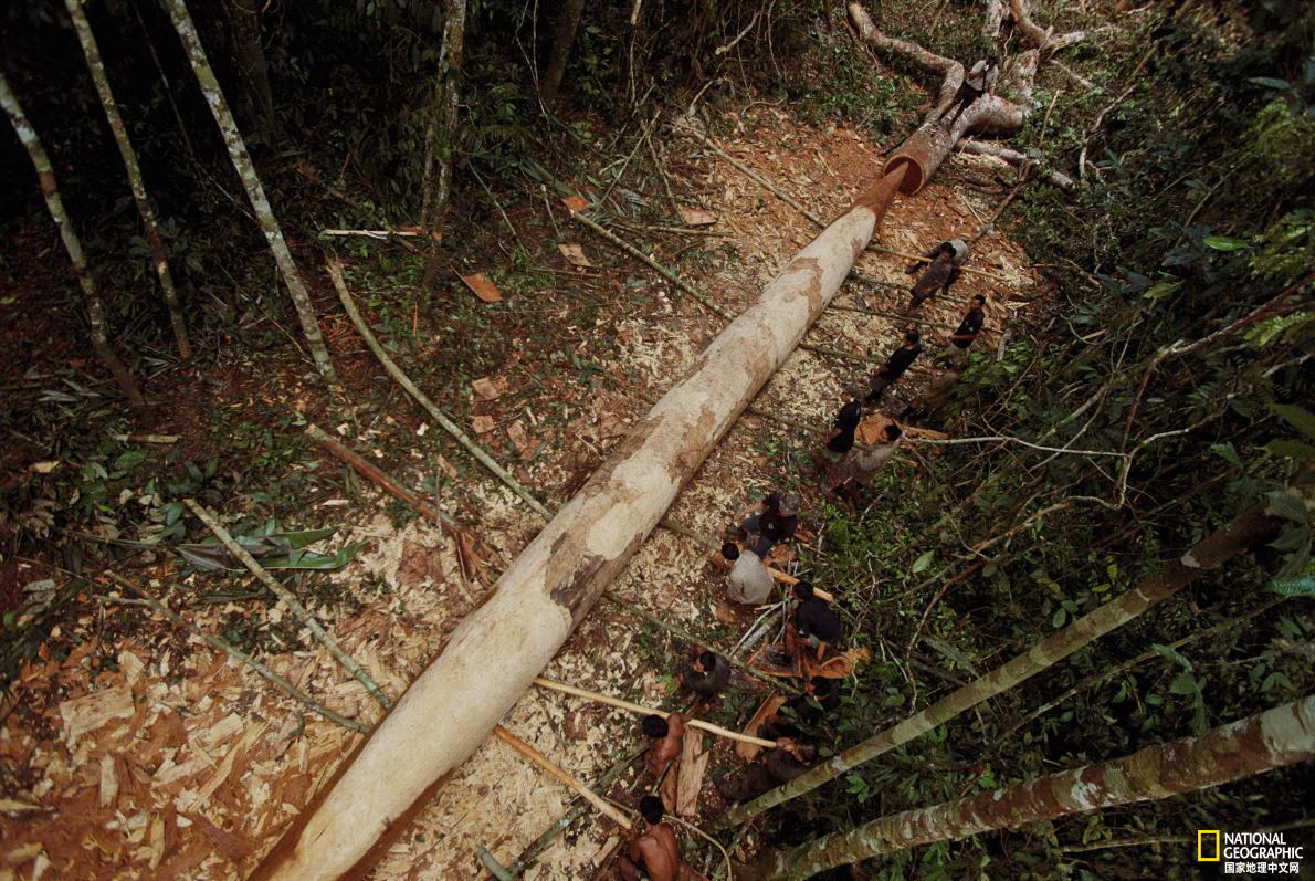 毒箭印第安人,印第安人面对入侵者为什么不抵抗