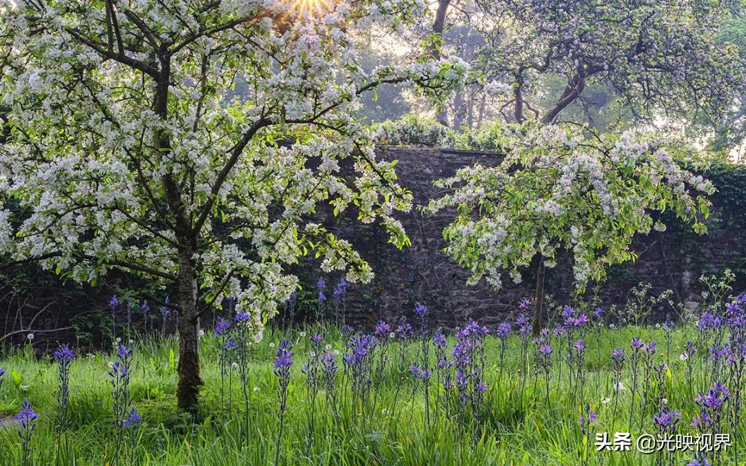 世界级国际花园摄影大赛,中国最美花园摄影作品