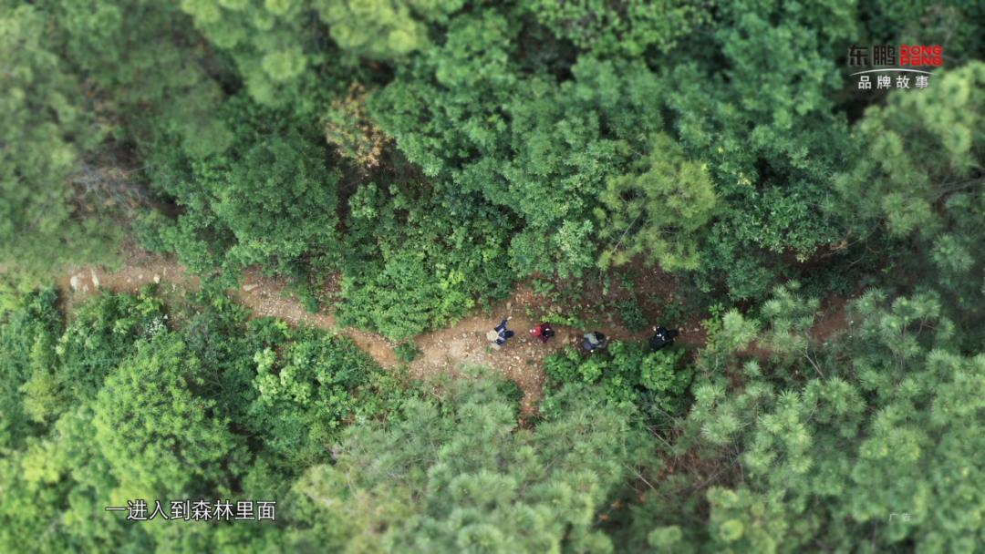 东鹏品牌优势有哪些,东鹏对比其它品牌优势在哪里