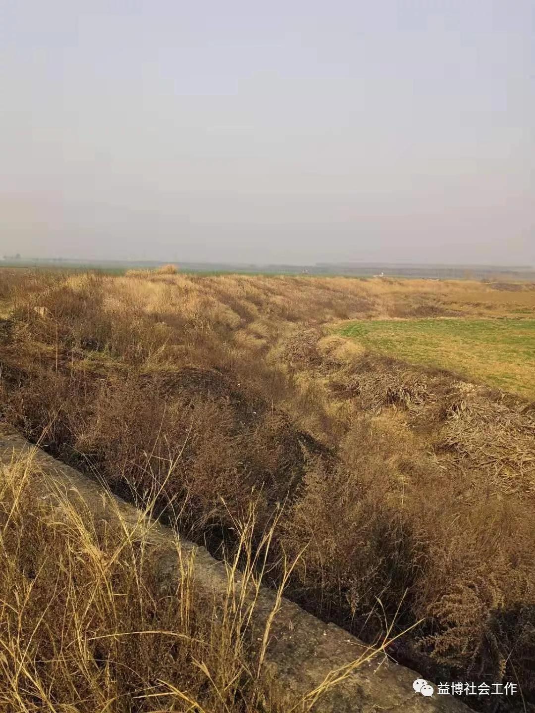 王玉日常生活视频,王玉的日常生活视频