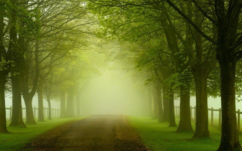 处事低调却深藏不露的星座,超然物外淡泊名利的星座有哪些