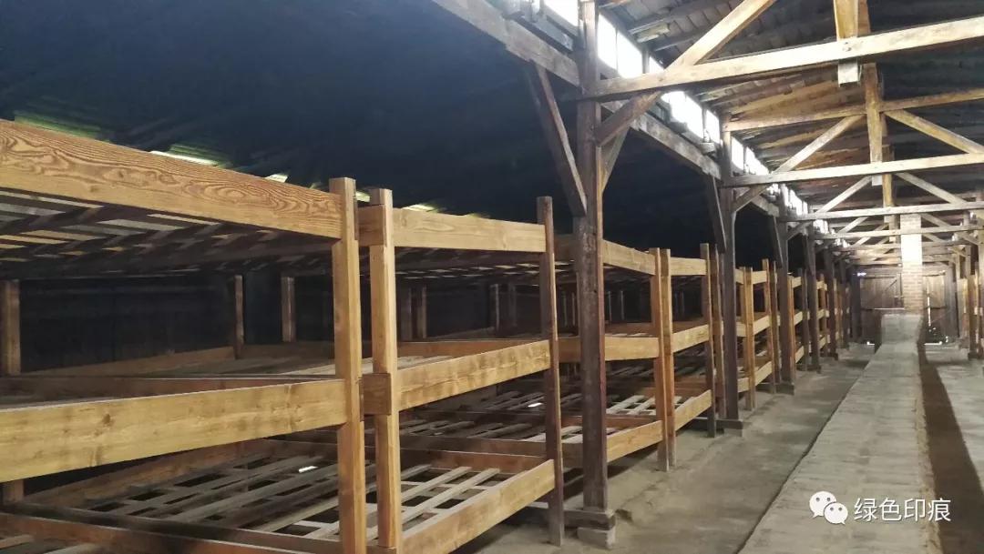 奥斯维辛集中营旅游,奥斯维辛集中营雏菊