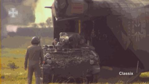 鼬鼠步兵战车,日耳曼鼬鼠坦克