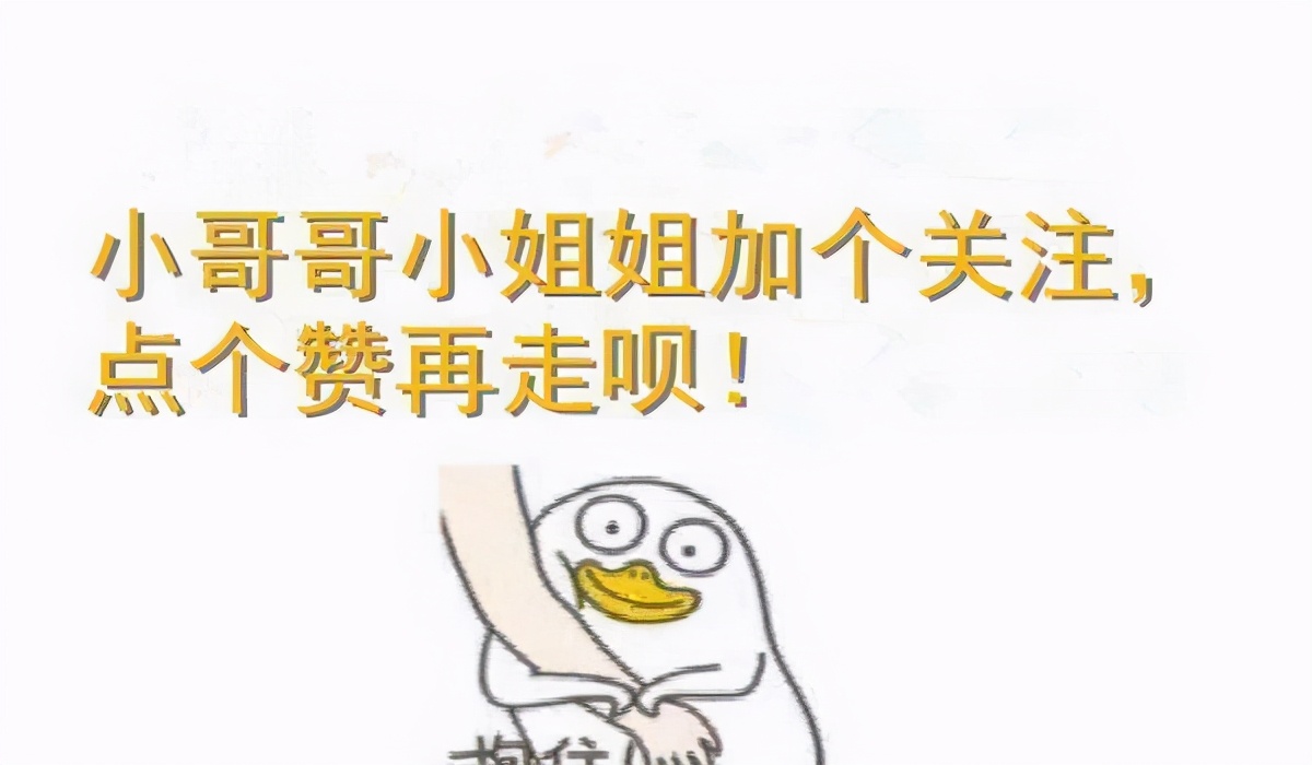 猫咪有跳蚤家里到处都有怎么处理,猫咪有跳蚤怎么解决的