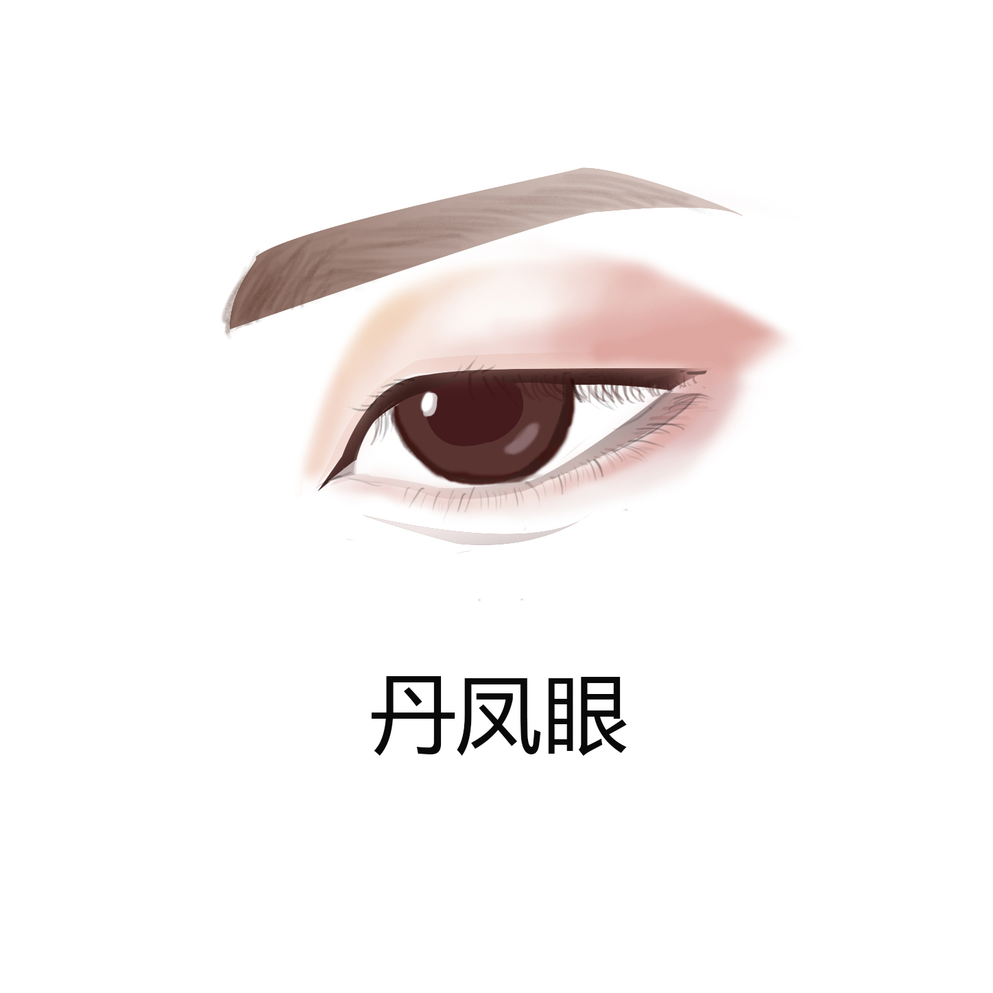 如何判断自己的眼型适合什么妆,如何判断自己的眼型是不是桃花眼