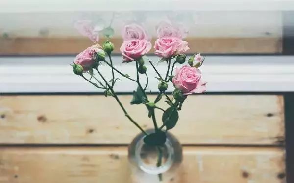 晨会分享四个方面的精彩小故事,销售励志简短小故事晨会分享