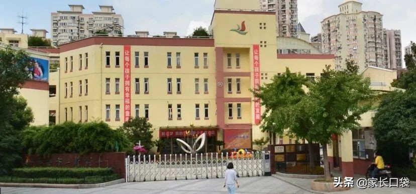 上海热门小学隐藏技：芭蕾、乒乓、游泳、书法、科技……样样有