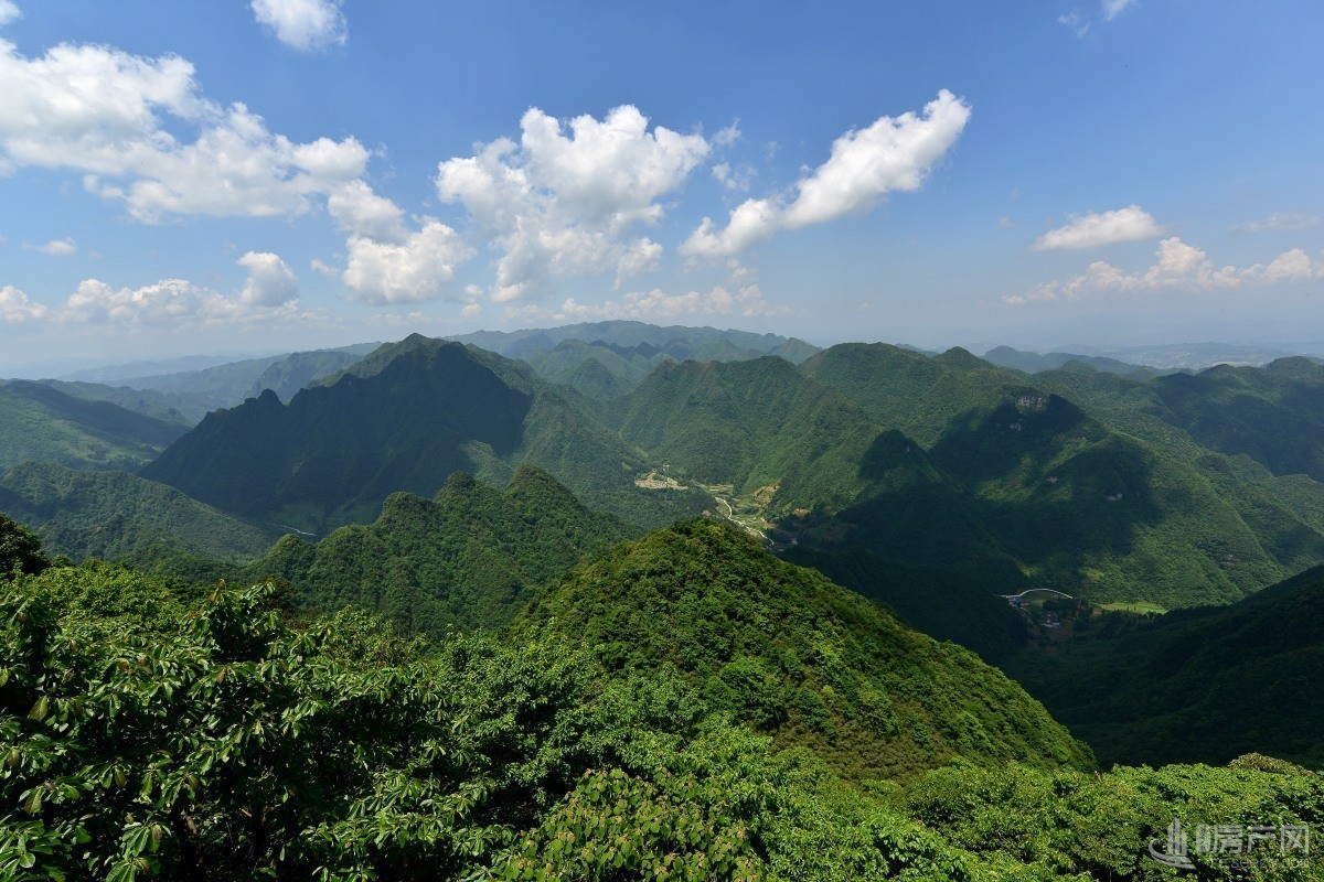 在娄山栖谷，遇见向往的诗意生活