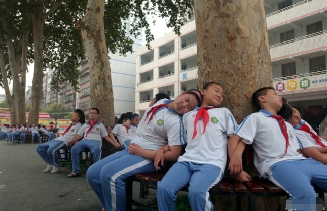 合肥一六八中三校联招分数线,合肥一六八中学2024中考会扩招吗