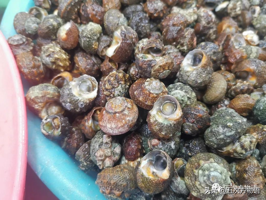 青岛海鲜市场价格表今日,青岛哪个农贸市场海鲜最便宜又好