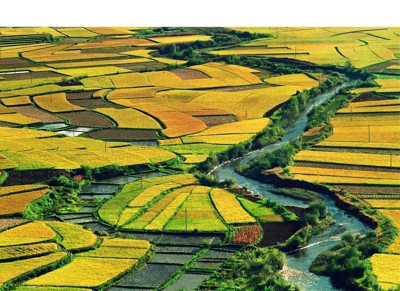 冬天四川旅游十大必去景点,四川冬日旅游景点推荐