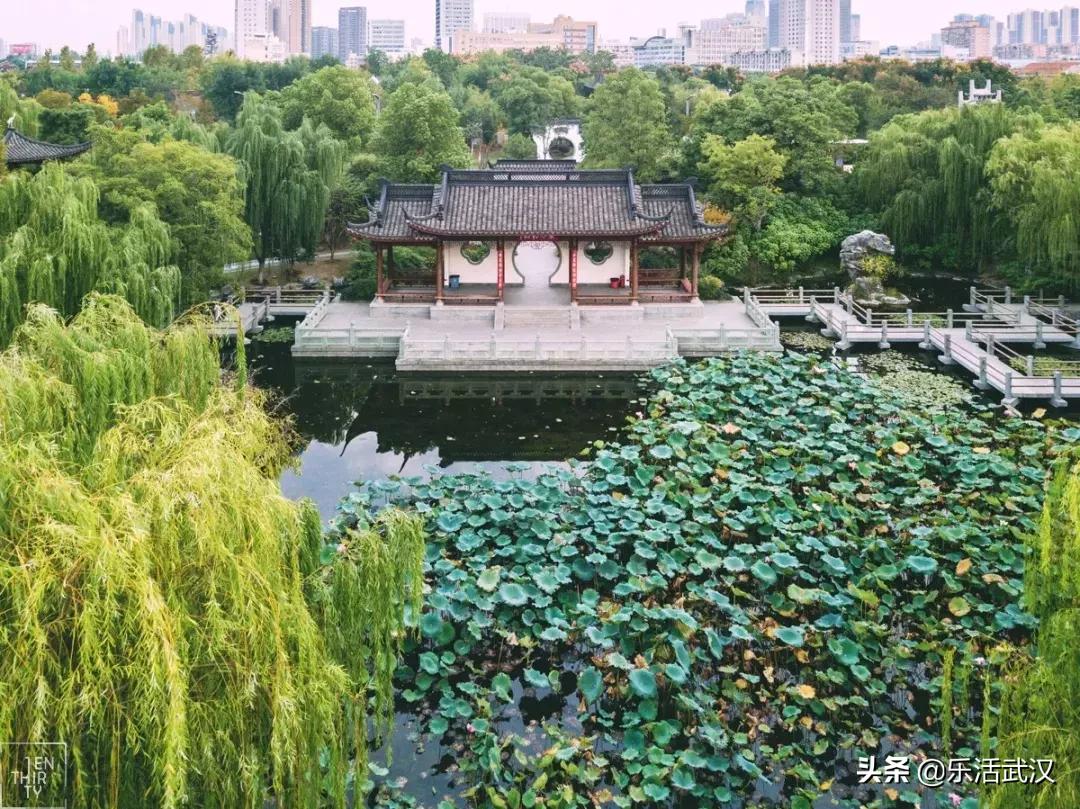 原来武汉有这么多好玩的打卡地,武汉周边新晋7大网红打卡地