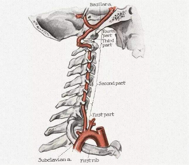 经常头晕走路身体感觉晃动怎么办,走路不稳头晕身体摇晃是什么原因