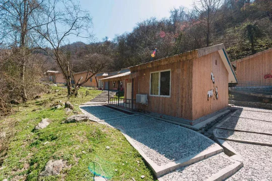 成都自驾百里杜鹃旅游攻略,万亩杜鹃花在青山幽谷