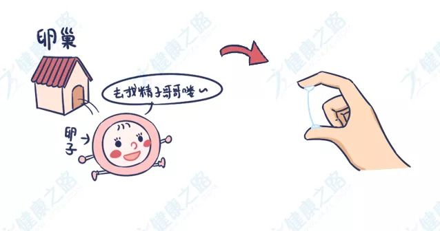 人身体不好的时候白带会黄绿,身体不好会不会导致白带异常