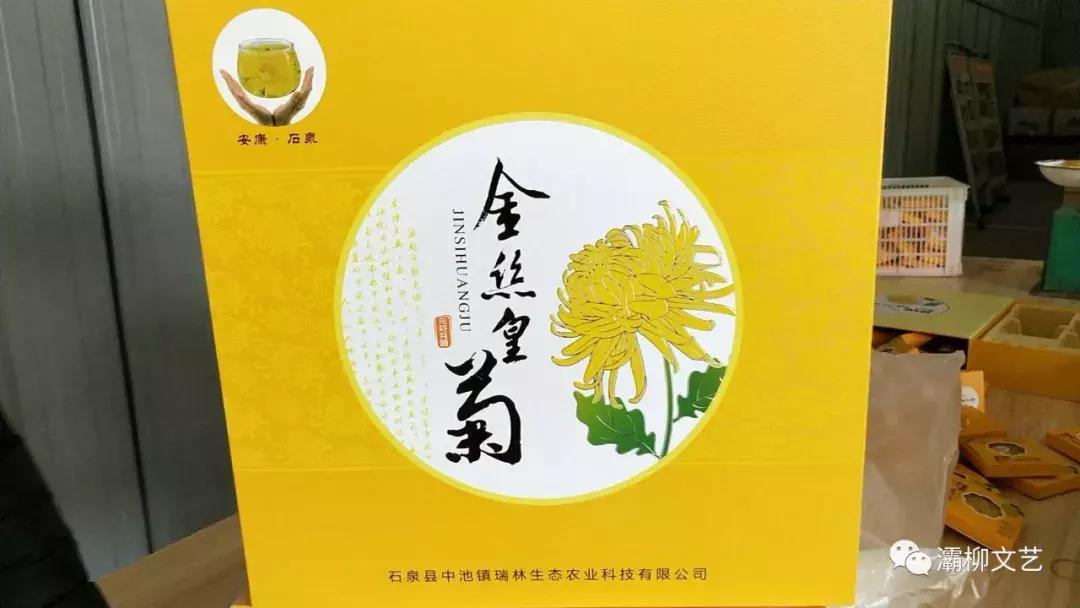 中国西部文苑｜四院文化群健步远征群欢歌热舞迎新年