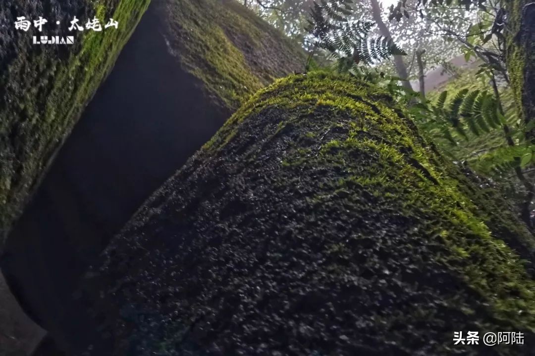 雨中爬太姥山,雨中登太姥山