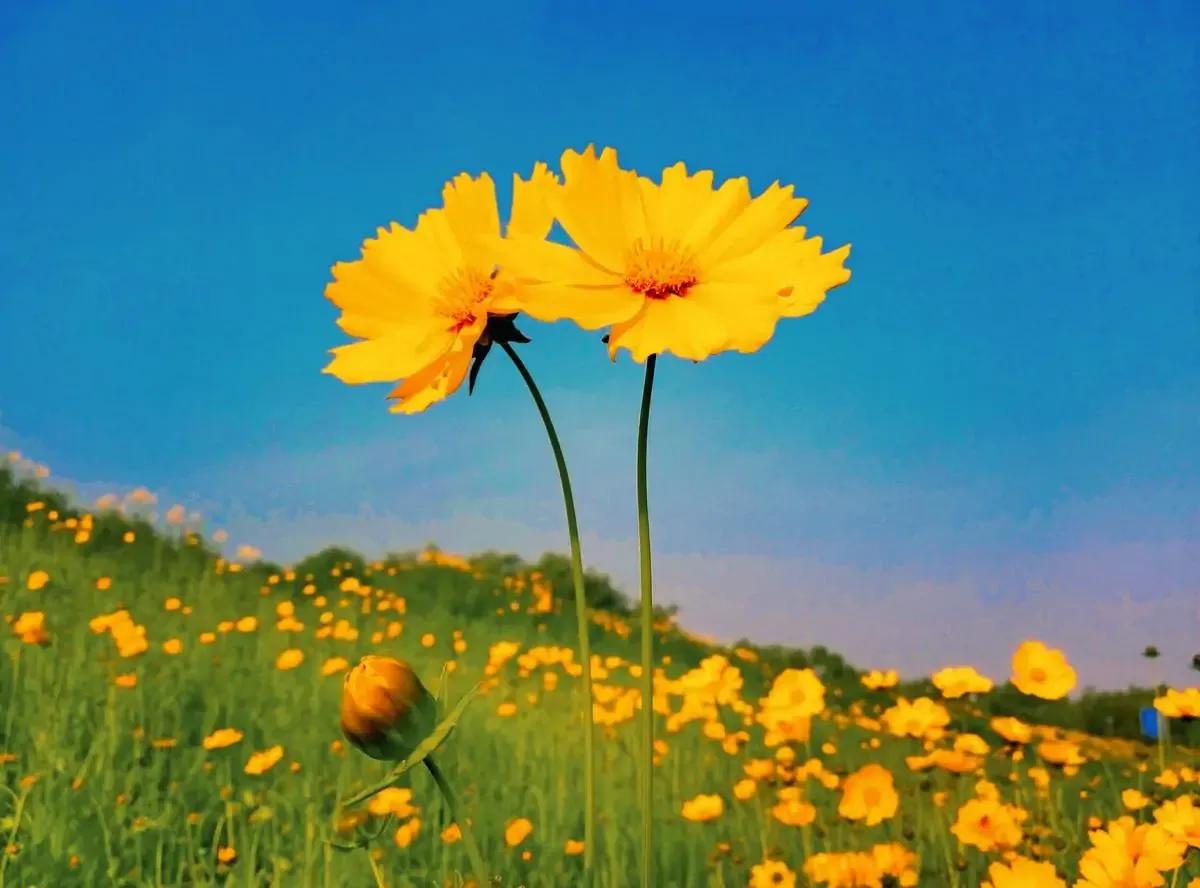 男人50多岁了老婆出轨该怎么办,50多岁发现老公有外遇了怎么办