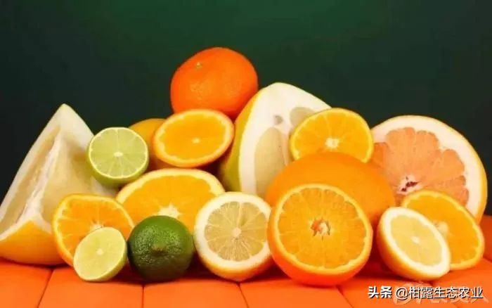 柑橘行情不好时如何卖农药,柑橘销售难对策建议