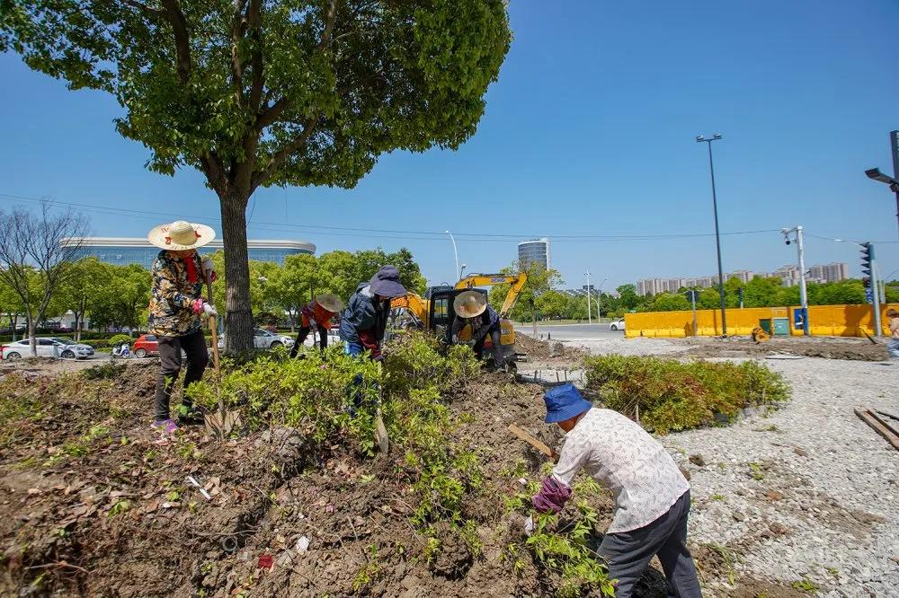 昆山张浦大市,昆山张浦如何