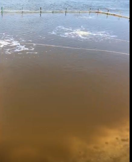 八种常见水产养殖水质！速来辨别你的池塘