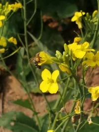 每个人记忆中的姥姥,你们记忆中的姥姥是什么样的