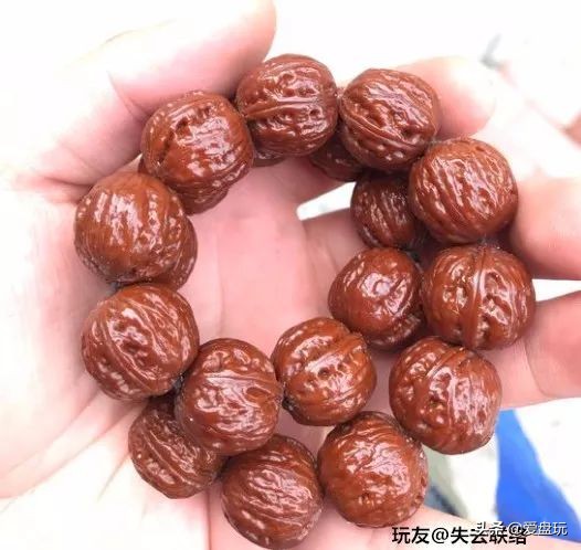 放了2年的凤眼，翻出来，虫子能组一个篮球队了