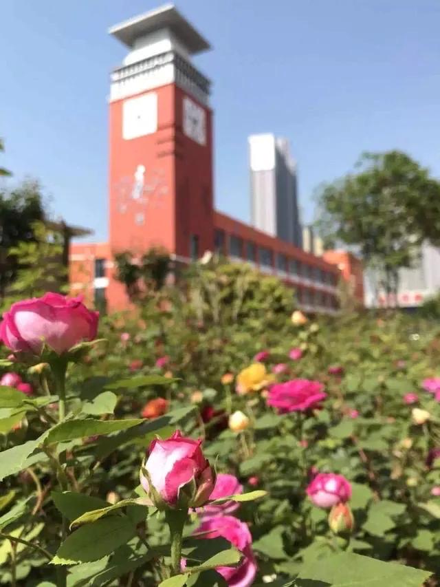 临沂三河口小学五年级11班,临沂三河口小学五年级9班