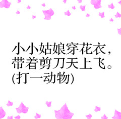 72个趣味谜语孩子越玩越聪明,100个趣味儿童谜语及答案