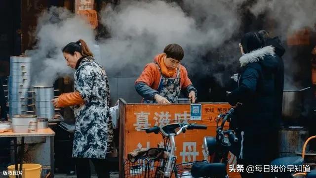 比猪肉降价还让农民高兴，又多一条赚钱路，干好了年入10万不难