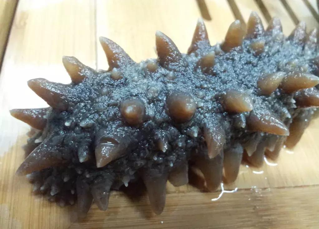 海参蒸蛋海参泡发的正确方法,海参咬不动海参泡发的正确方法