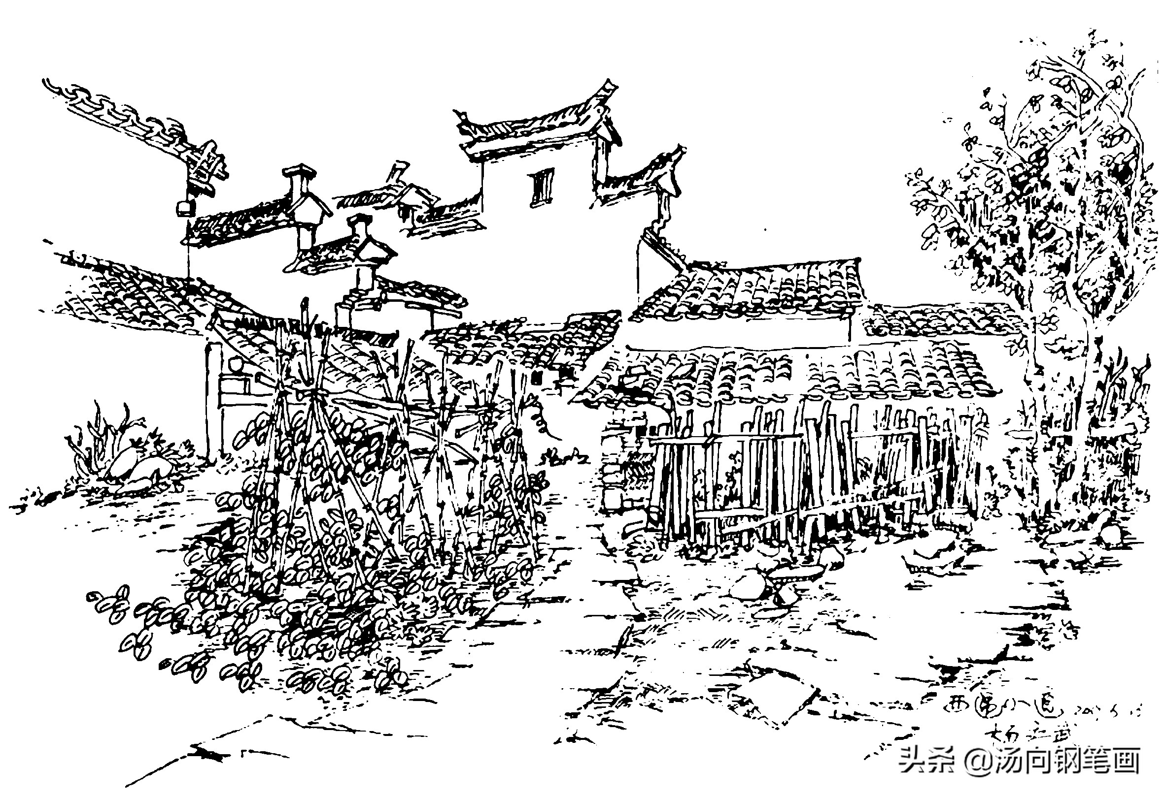 零基础学钢笔速写,零基础学钢笔书法