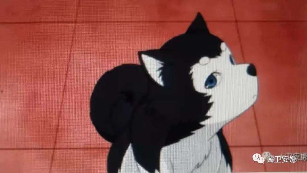 忆苦思甜兄妹四人电视剧,忆苦思甜回忆录全集