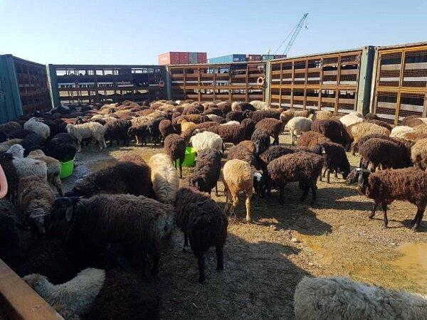 中东疫情最为严重地方,中东有没有受疫情影响