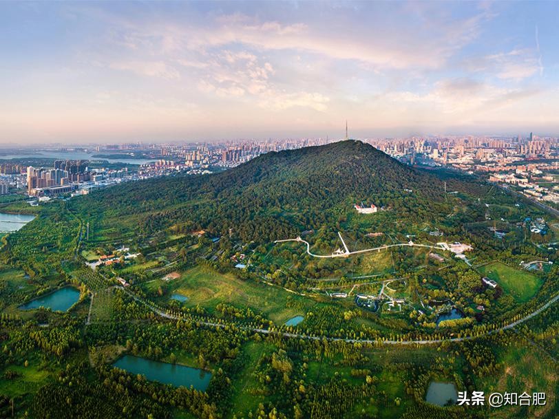 安徽合肥网红打卡地点有哪些,合肥抖音网红打卡景点