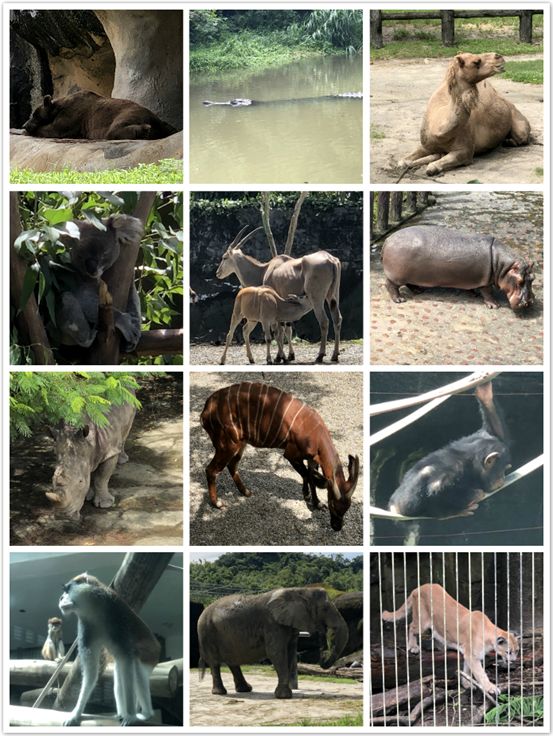 太有幸福感了！周杰伦同款奶茶喝到撑！攻略在此，拿走不谢