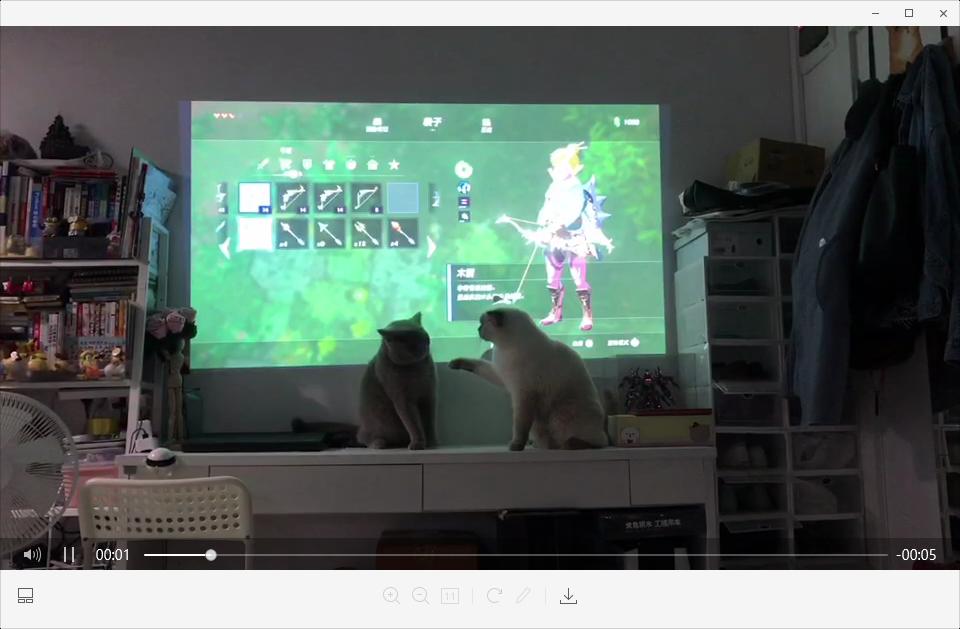 switchlite必买配件,买switch还要买什么配件