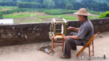 一生一木,一生一木家居