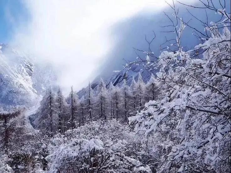 成都周边冰雪游攻略一日游推荐,成都周边冰雪旅游